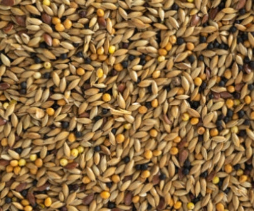 1kg Canary Mix Seed