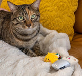 ZippyClaws taco and burrito cat toys 2 pack withcatnip plush on white background.