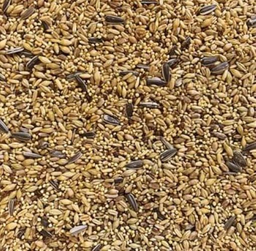 500g Bird Seed - Cockatiel Mix – Animal Addiction Pet Supplies