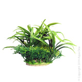 Ecoscape Small Crinum Green  Aqua One’s Artificial Plants will add vibrancy and a fresh look to any aquarium. Each plant features a weighted base to make aquascaping easy.  You are sure to find plant or two to suit your aquarium from the large range available from Aqua One!  Specifications: 10cm tall.