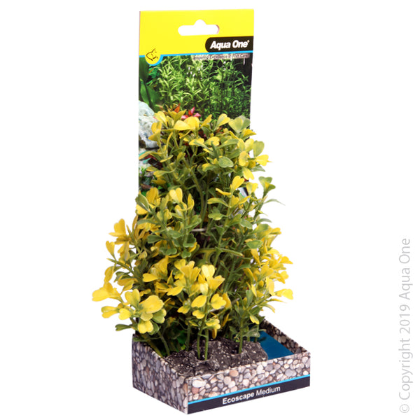 Ecoscape Medium Japanese Box Yellow  Aqua One’s Artificial Plants will add vibrancy and a fresh look to any aquarium. Each plant features a weighted base to make aquascaping easy.  You are sure to find plant or two to suit your aquarium from the large range available from Aqua One!  Specifications: 20cm tall.