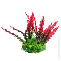 Ecoscape Medium Ruffled Lace Plant Red  Aqua One’s Artificial Plants will add vibrancy and a fresh look to any aquarium. Each plant features a weighted base to make aquascaping easy.  You are sure to find plant or two to suit your aquarium from the large range available from Aqua One!  Specifications: 20cm tall.