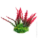 Ecoscape Medium Ruffled Lace Plant Red  Aqua One’s Artificial Plants will add vibrancy and a fresh look to any aquarium. Each plant features a weighted base to make aquascaping easy.  You are sure to find plant or two to suit your aquarium from the large range available from Aqua One!  Specifications: 20cm tall.