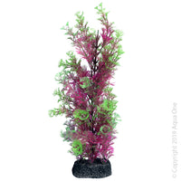 Ecoscape Large Cabomba Pink  Aqua One’s Artificial Plants will add vibrancy and a fresh look to any aquarium. Each plant features a weighted base to make aquascaping easy.  You are sure to find plant or two to suit your aquarium from the large range available from Aqua One!  Specifications: 30cm tall.