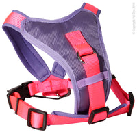 Pet One Harness - Comfy 46 - 56cm Padded 20mm Pink Purple  Pet One Comfy Lead and Harness range provides durability, comfort and style for your pet.  Pet One has an extensive range of Leads and Harnesses available. You are sure to find an accessory to suit the breed and personality of your pet, and ensure they strut their stuff in style!