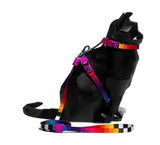 Zee Cat Harness with Leash - Prisma  Yes, cats also go for walks. Well, cats that kick ass go for walks.  This harness is fully adjustable, soft on your cat’s fur and has our famous 4-point locking buckle for added safety. The leash is super comfortable on the hands and has a light weight hook that makes your cat stroll with ease.