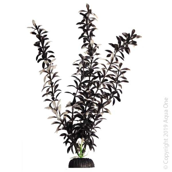 Brightscape Black Large Ludwigia. Rearrange your artificial plants within the aquarium at any time. Does not require special lighting, supplements or pruning. Safe to use with destructive fish such as Cichlids. When adding additional artificial plants to the aquarium there is no risk of introducing foreign pests or parasites. Artificial Plants do not decay and will hold their shape longer than live plants. Provides aquatic life a place to hide Non-toxic and aquarium safe.